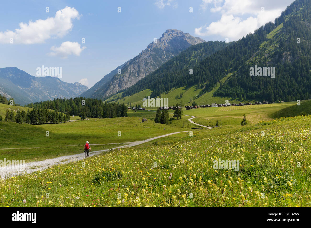 Nenzinger Himmel prato alpino con Fundelkopf, Gamperdonatal, Nenzing comunità, Rätikon, Vorarlberg, Austria Foto Stock