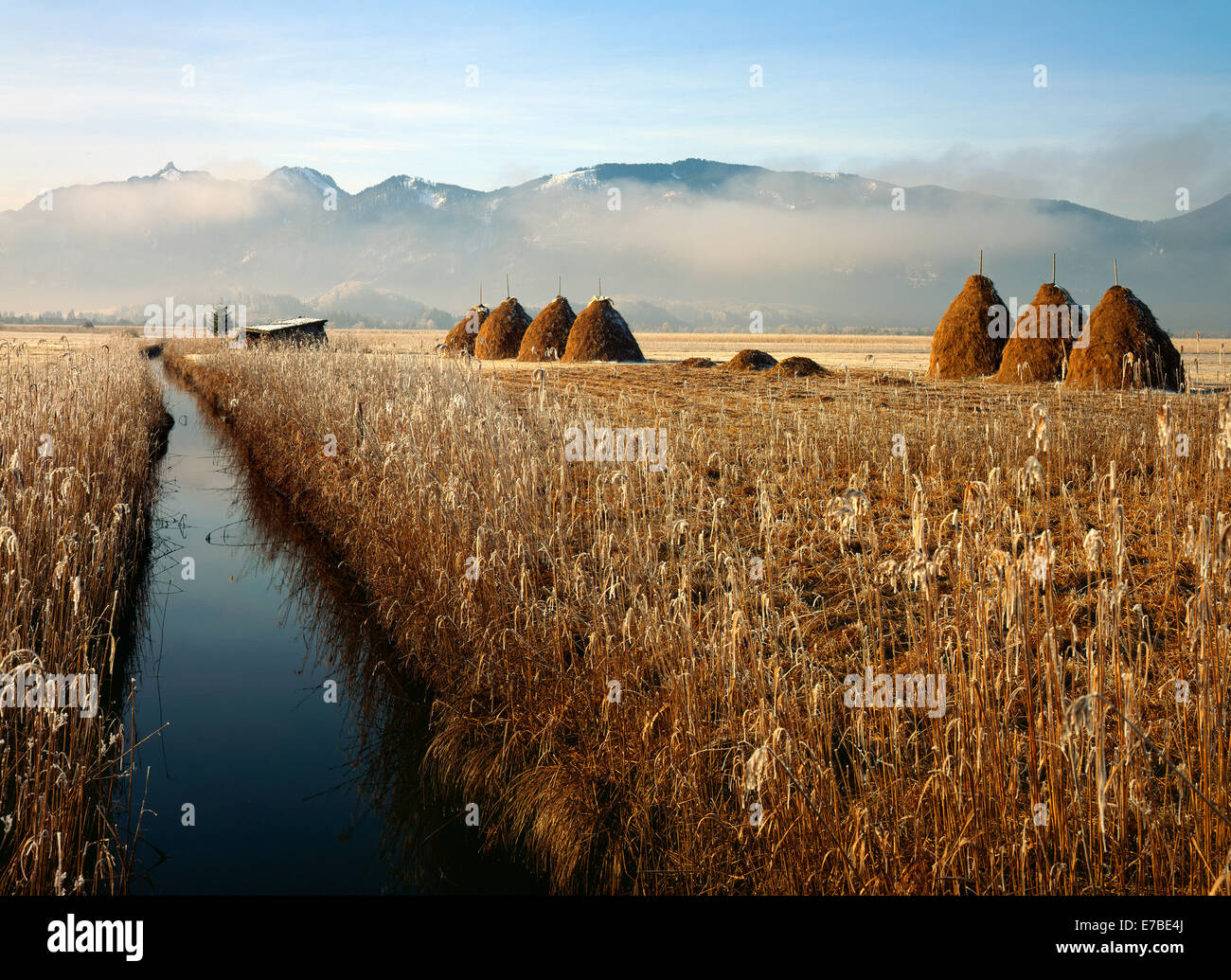 Murnau Moor, Murnauer Moos, di fronte alle montagne Ettaler Mandl e Laber, Alta Baviera, Baviera, Germania Foto Stock