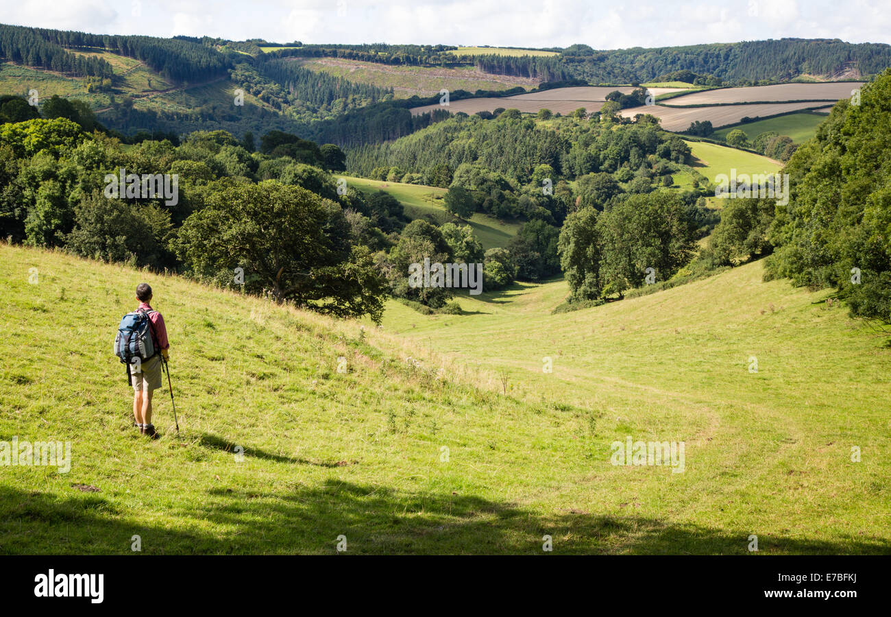 Camminatore di femmina che si affacciava su una valle boscosa del Brendon sulle colline vicino a Sticklepath sulla Coleridge modo in Somerset Foto Stock