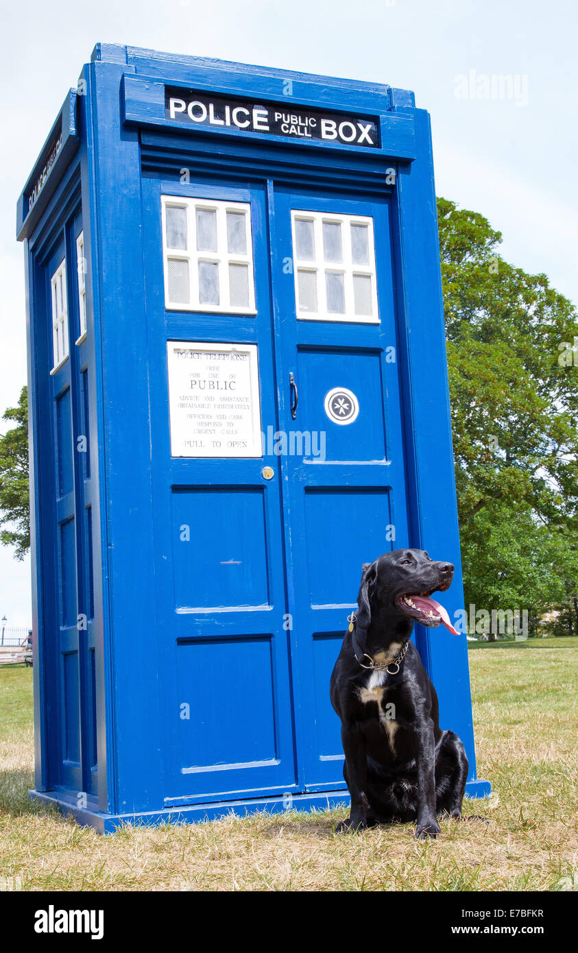 Il Labrador nero K9 dog sitter esterno Dr Who's Tardis che ha appena si materializzò presso la Clifton Bristol REGNO UNITO Foto Stock