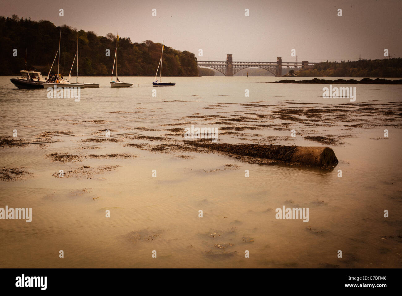 Antiquato di Menai Straits, Anglesey Foto Stock