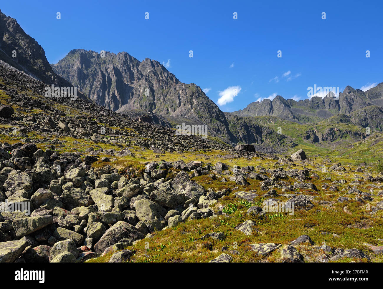 Tundra di montagna nel luglio.TUNKA ridge. Sayan montagne. Repubblica di Buryatia Foto Stock
