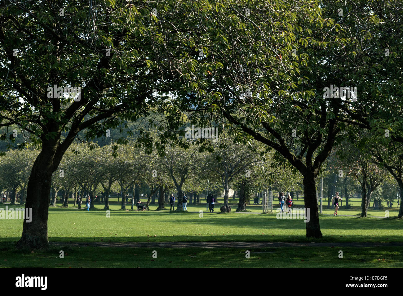 La gente a piedi lungo i sentieri alberati dei prati Park, Edimburgo Foto Stock