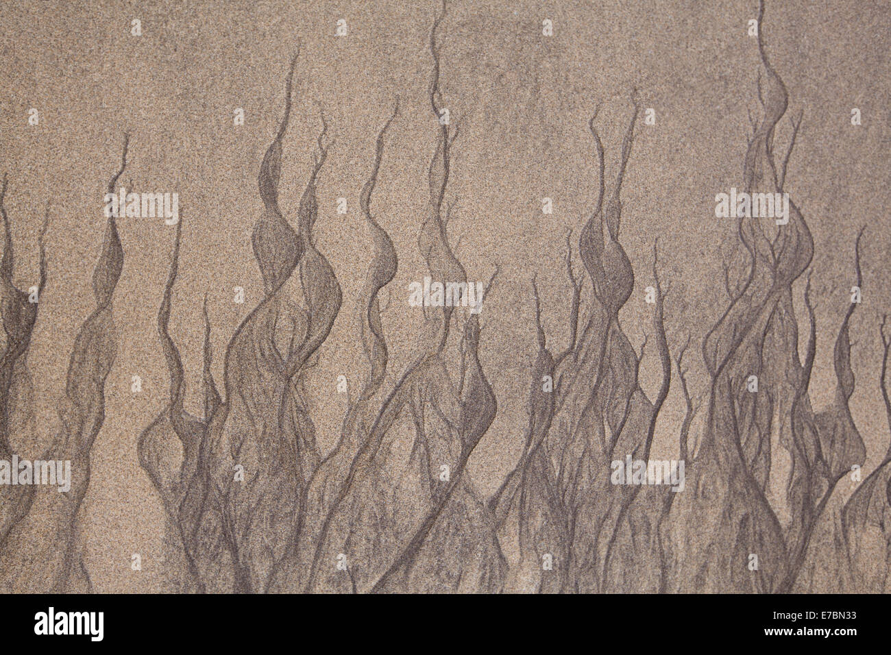 Pattern in spiaggia di sabbia con la bassa marea Foto Stock