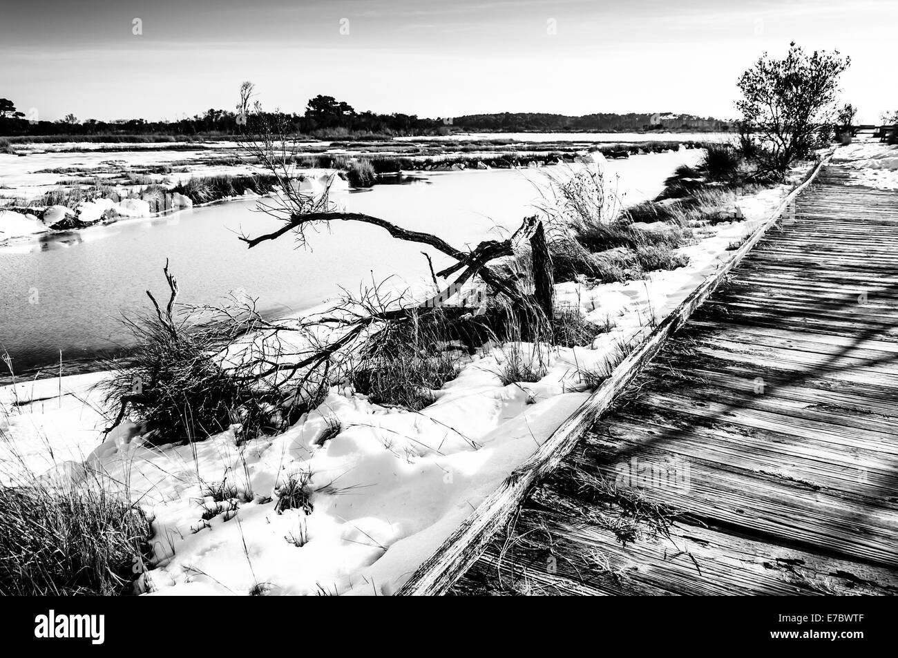Il Boardwalk trail attraverso una coperta di neve marsh in Assateague Island National Seashore, Maryland. Foto Stock