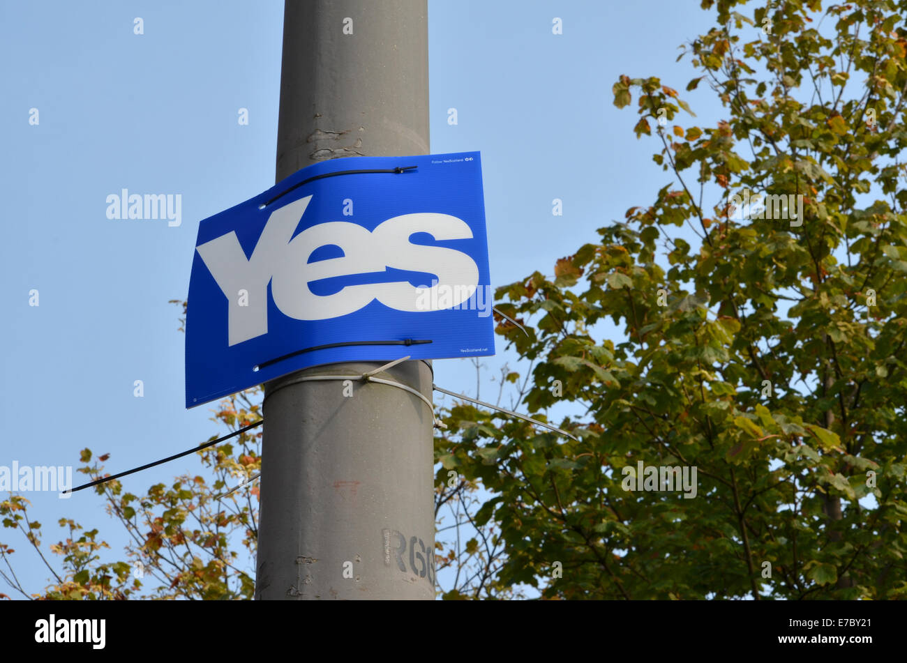 Sì carta su una lampada posta su Glasgow Road, Clydebank Foto Stock