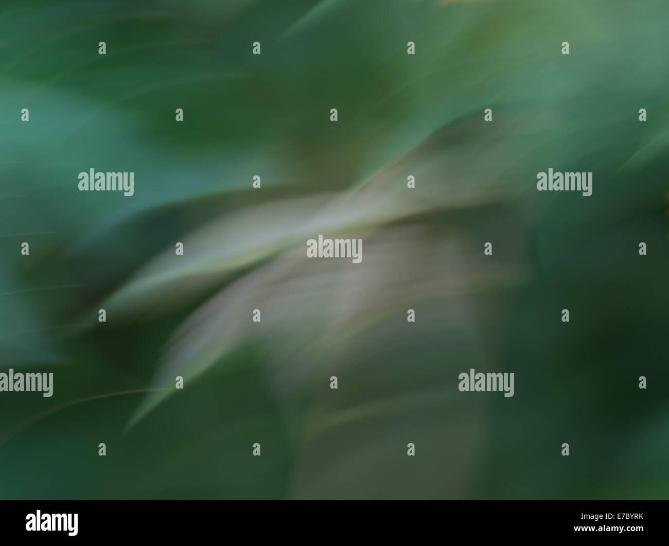 Abstract background in colori verde, arte fotografica Foto Stock