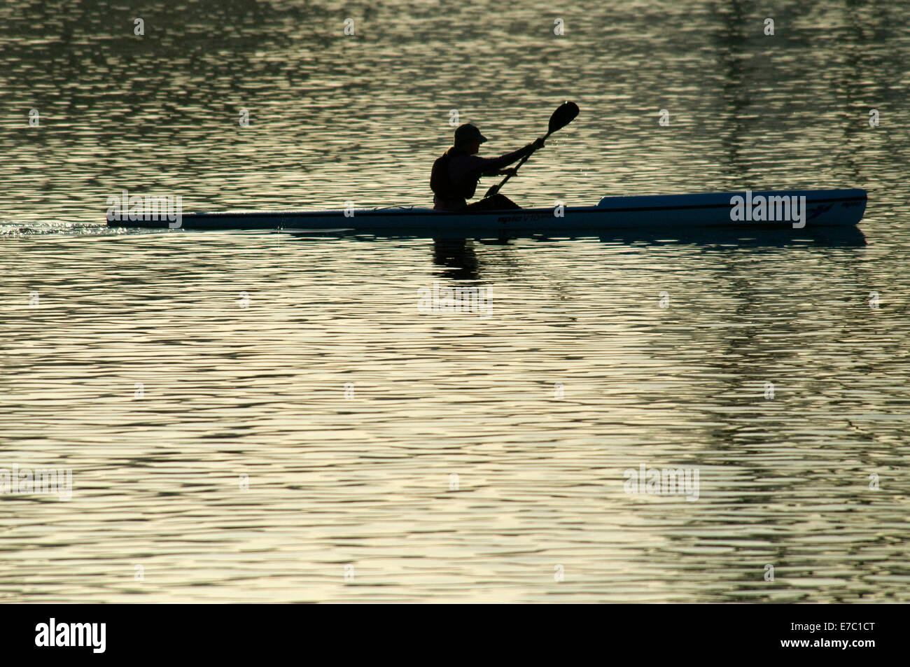 Vogatore, Mission Bay Park, San Diego, California Foto Stock