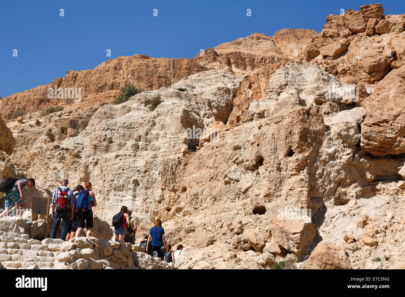 Gruppo di persone escursionismo in Ein Gedi oasi e parco nazionale vicino a Masada, Israele Foto Stock