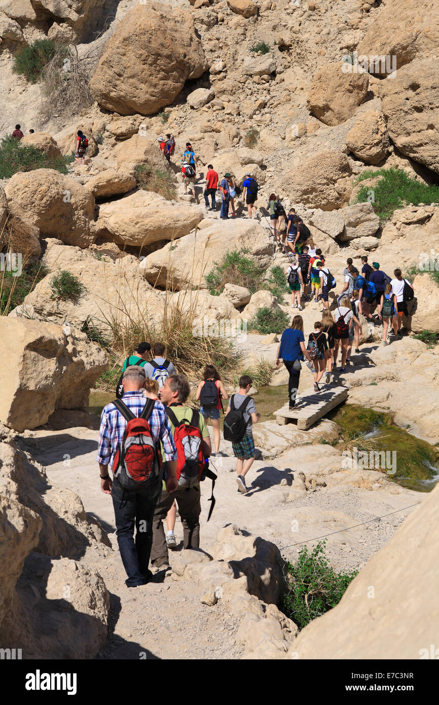 Gruppo di persone escursionismo in Ein Gedi oasi e parco nazionale vicino a Masada, Israele Foto Stock