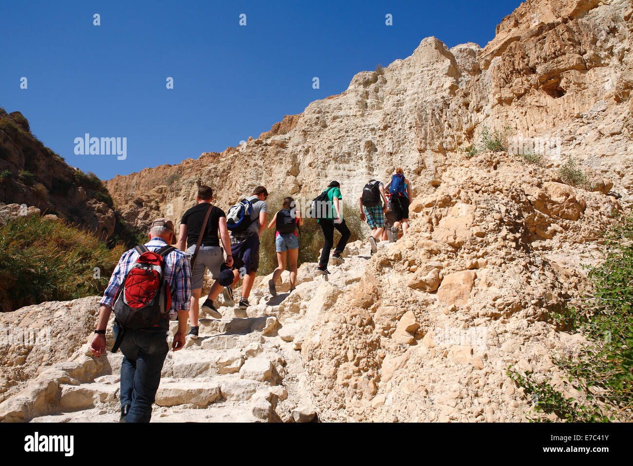Gruppo di persone che salgono fino alla cima di una collina di Ein Gedi oasi e parco nazionale vicino a Masada, Israele Foto Stock