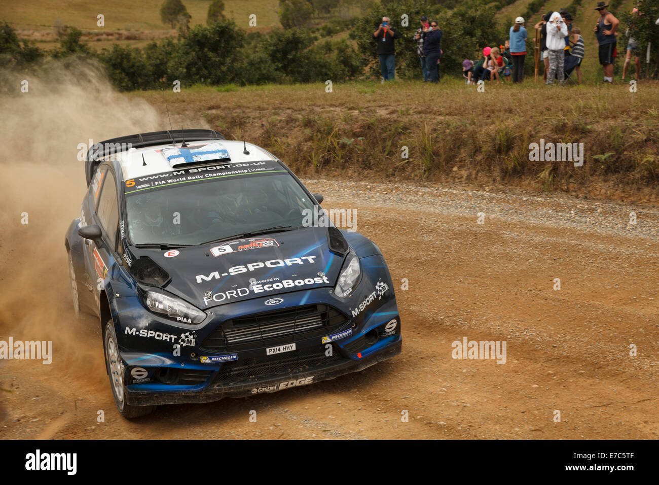 Coffs Harbour, Australia, sabato 13 settembre, 2014. Mikko Hirvonen, guida per M-Sport World Rally Team in azione durante la fase speciale di nove dei Rally Australia. Dopo 12 stadi, Hirvonen e il suo co-driver Jarmo Lehtinen è riuscito ad ottenere il quinto posto sul tempo complessivo di classifica. Foto Stock