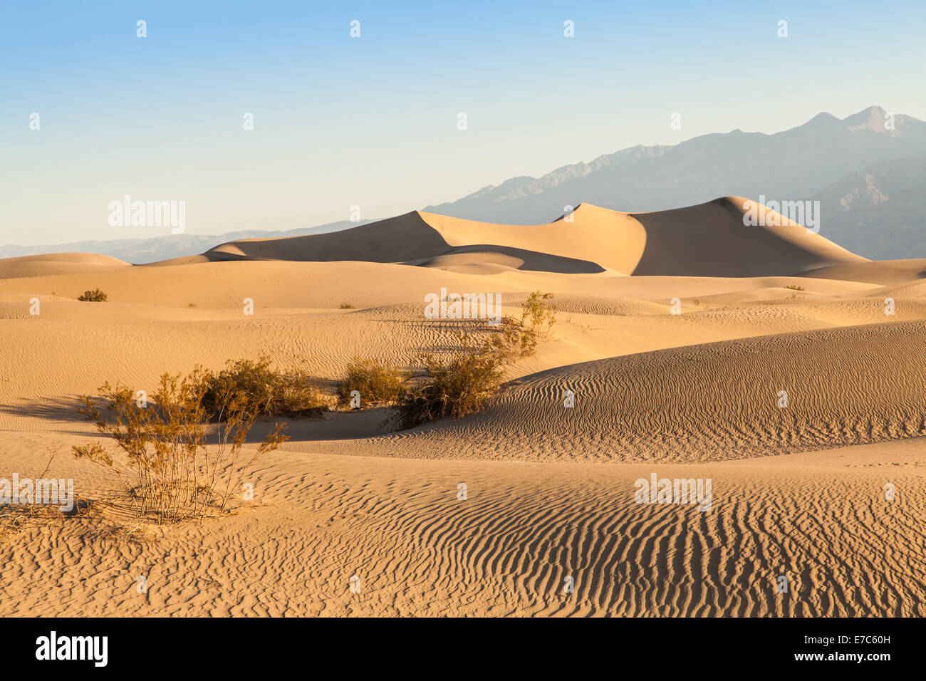Le dune di sabbia di Mesquite piatto nella Valle della Morte nel deserto - California Foto Stock