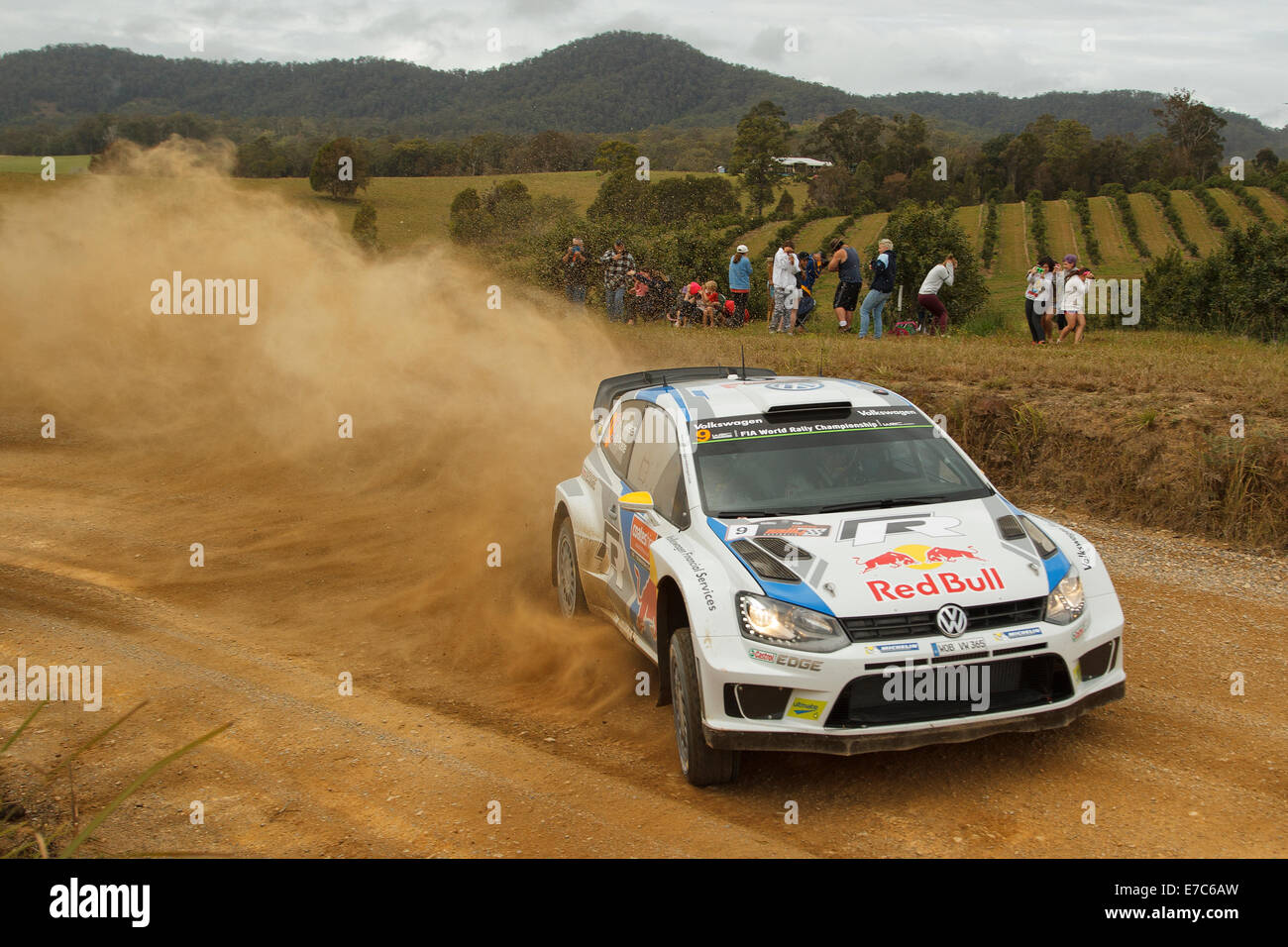 Coffs Harbour, Australia, sabato 13 settembre, 2014. Andreas Mikkelsen in azione durante la fase speciale di nove dei Rally Australia. Mikkelsen per la guida di Volkswagen Motorsport World Rally Team è riuscito a finire il primo 12 tappe dell'evento al quarto posto assoluto. Foto Stock