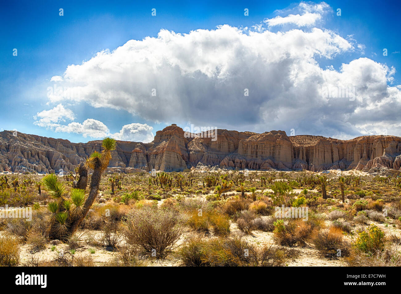Il Red Rock Canyon State Park offre scenic deserto scogliere, buttes e spettacolari formazioni rocciose. Il parco è situato nel punto in cui il Foto Stock