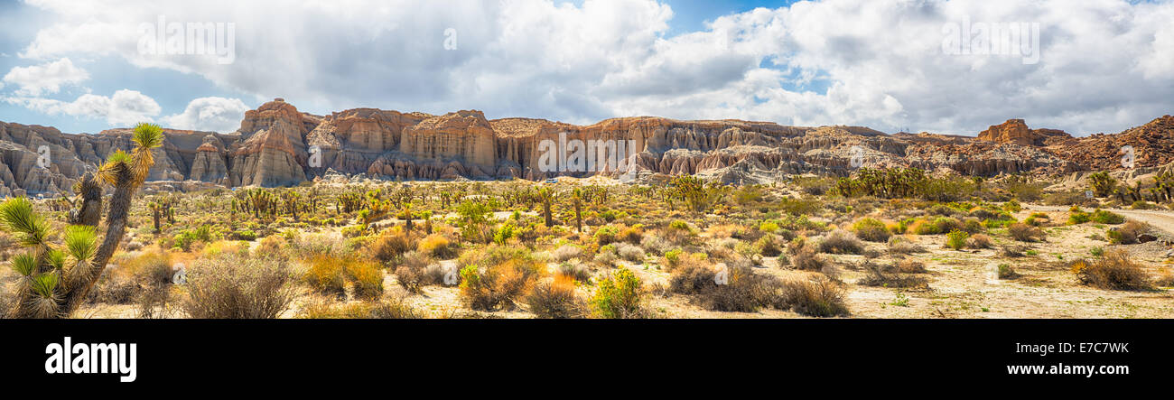 Il Red Rock Canyon State Park offre scenic deserto scogliere, buttes e spettacolari formazioni rocciose. Il parco è situato nel punto in cui il Foto Stock