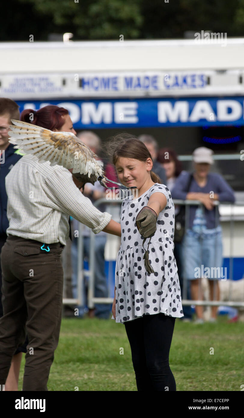 Bedfordshire vapore & country fayre, Old Warden Park, Shuttleworth, UK. La Falconeria con i bambini dalla folla. Credito: Scott Carruthers/Alamy Live News Foto Stock