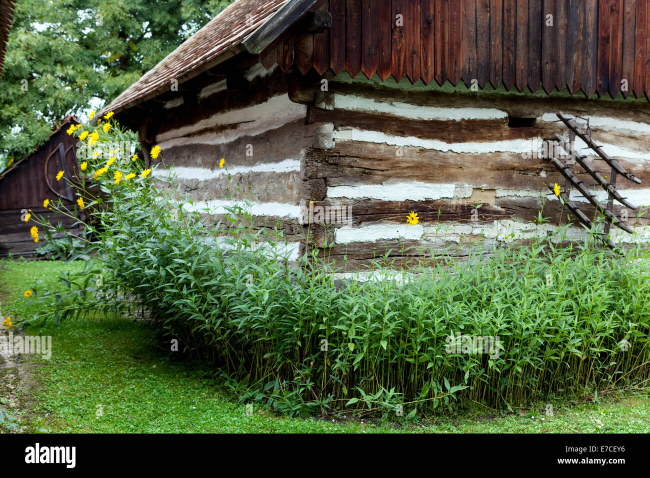 Casa in legno e muratura edificio, architettura popolare, casa rurale - Repubblica Ceca Foto Stock