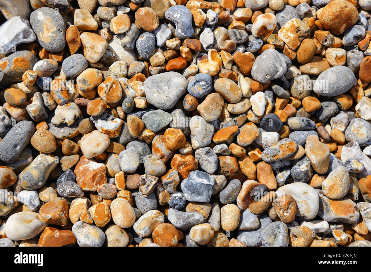 Ciottoli su una spiaggia di ciottoli Foto Stock