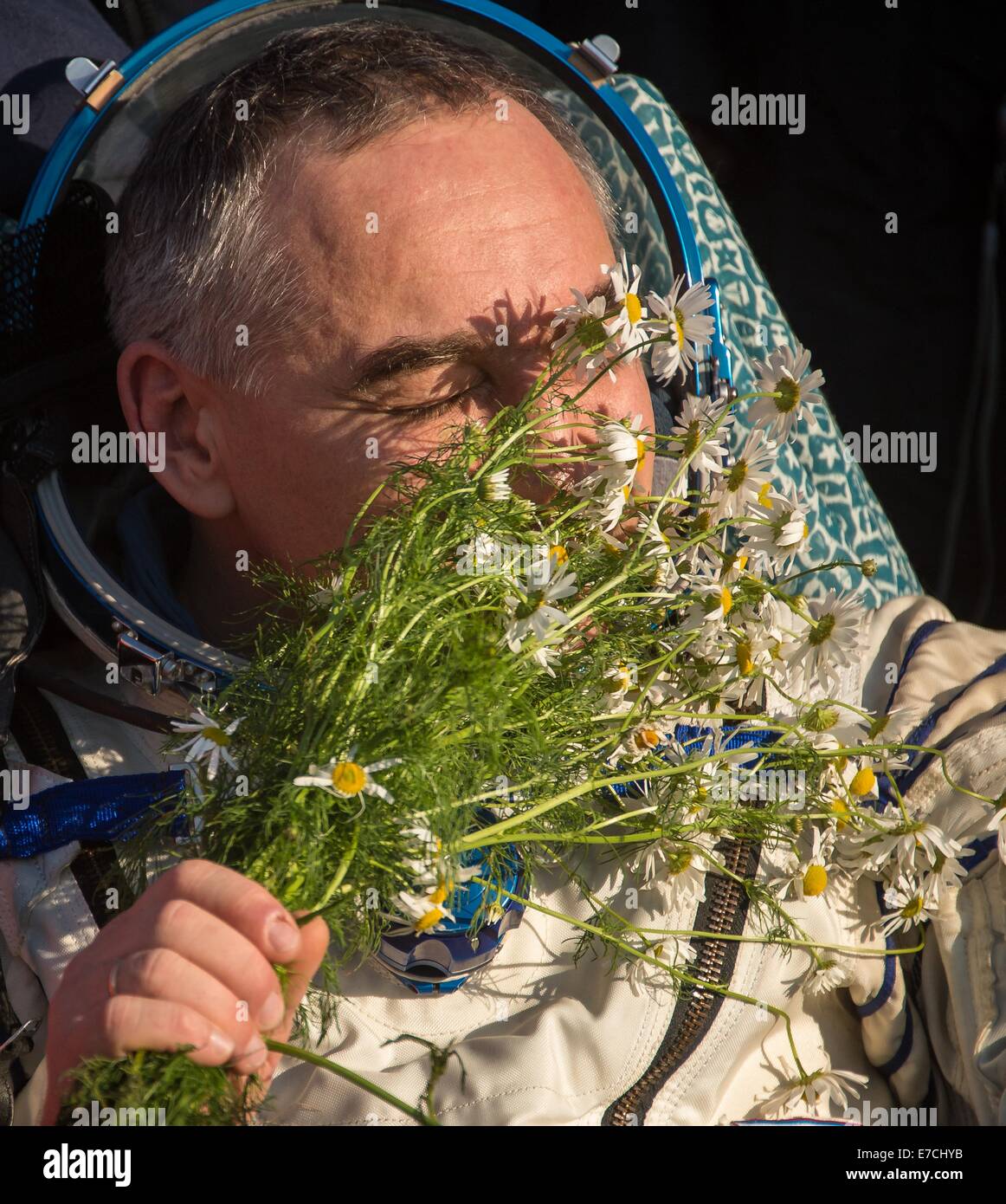 Stazione Spaziale Internazionale Expedition 40 cosmonauta Alexander Skvortsov e profuma di fiori freschi come egli riposa in una sedia al di fuori della Soyuz TMA-12M capsula a pochi minuti dopo l'atterraggio Settembre 11, 2014 in Zhezkazgan, Kazakistan. Swanson, Skvortsov e Artemyev è tornato a terra dopo più di cinque mesi a bordo della Stazione spaziale internazionale dove sono serviti come membri della spedizione 39 e 40 equipaggi. Foto Stock