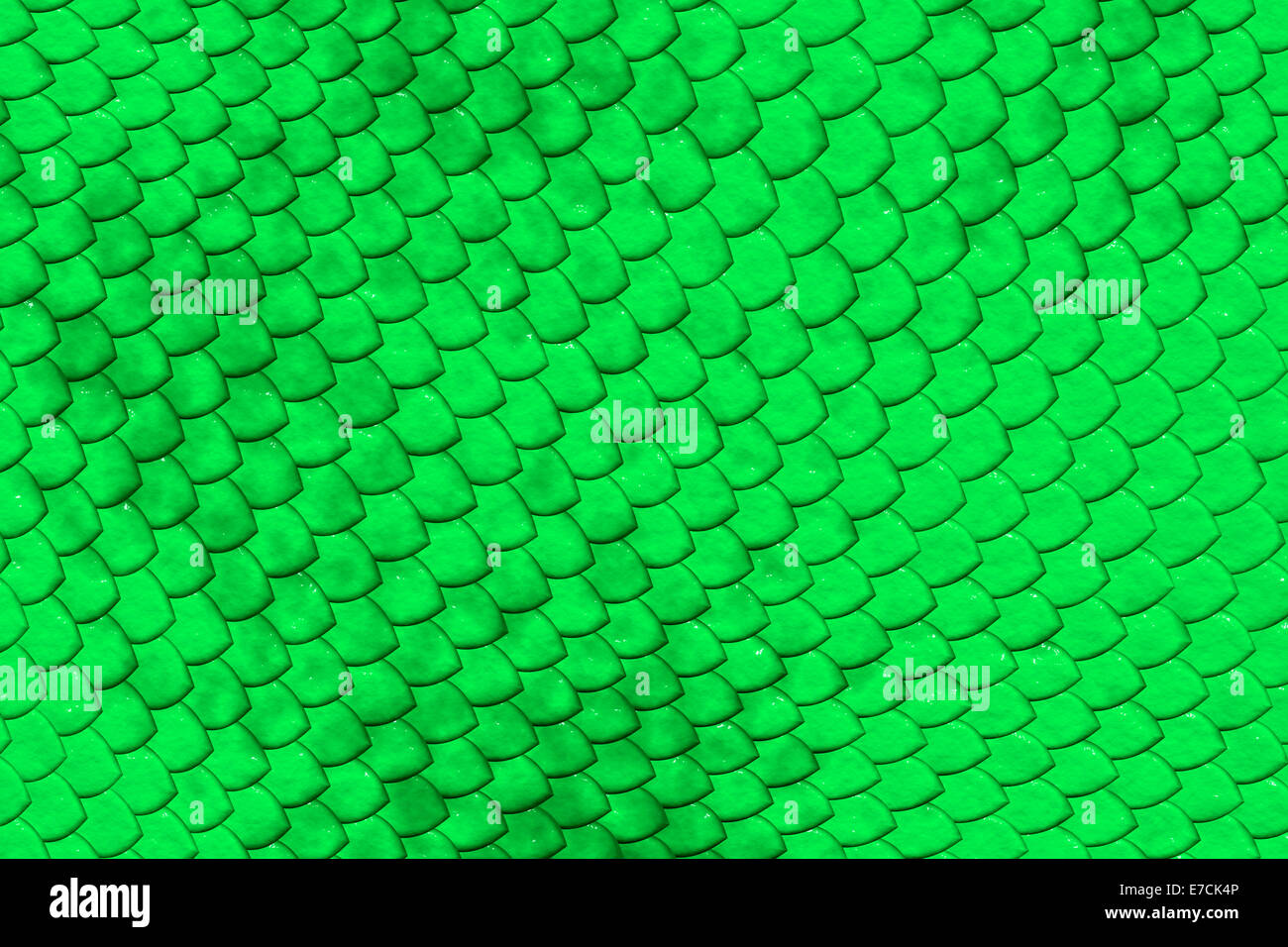 Immagine raster di verde pelle di rettile che mostra il modello unico e protezione del disco scale. Foto Stock