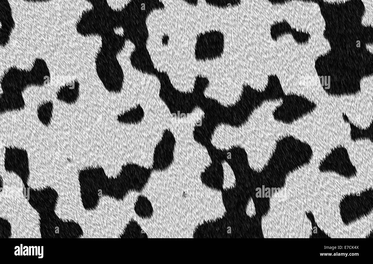 Immagini raster di cane dalmata pelliccia con nero unici modelli in pelliccia bianca. Foto Stock