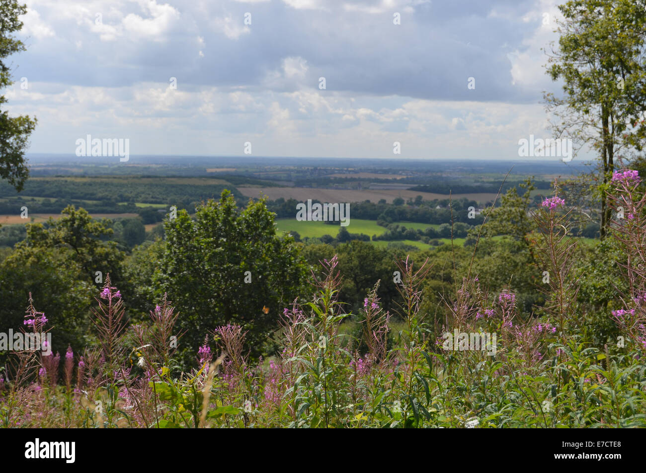 Campagna di LEICESTERSHIRE REGNO UNITO Agosto 2014 Foto Stock