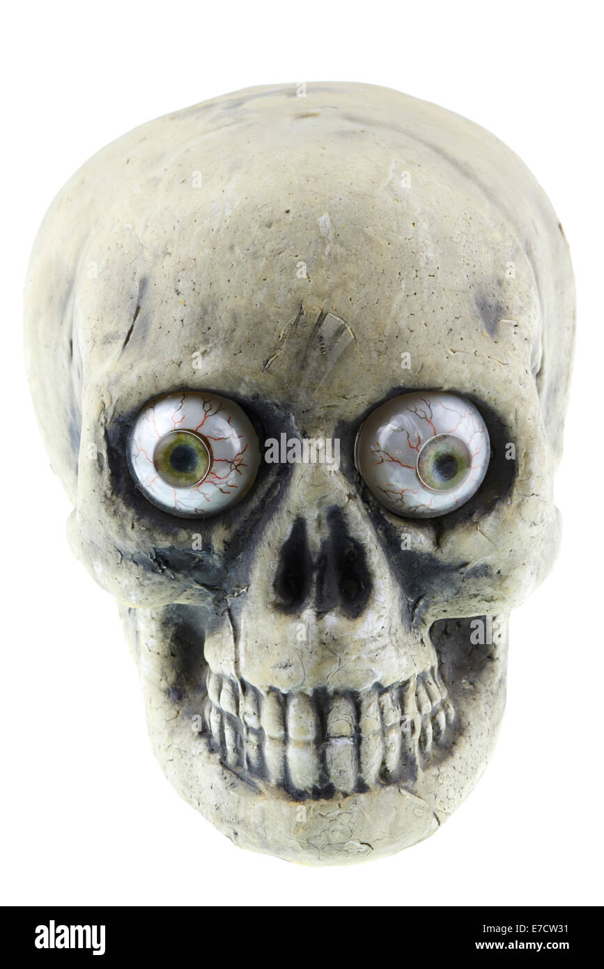 Lo scheletro cranio realizzata in gesso Foto Stock