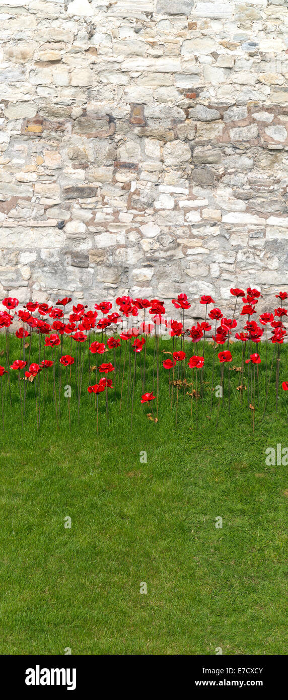 Close up di ceramica rosso papavero tra erba verde e muro di pietra a torre di Londra Inghilterra Foto Stock