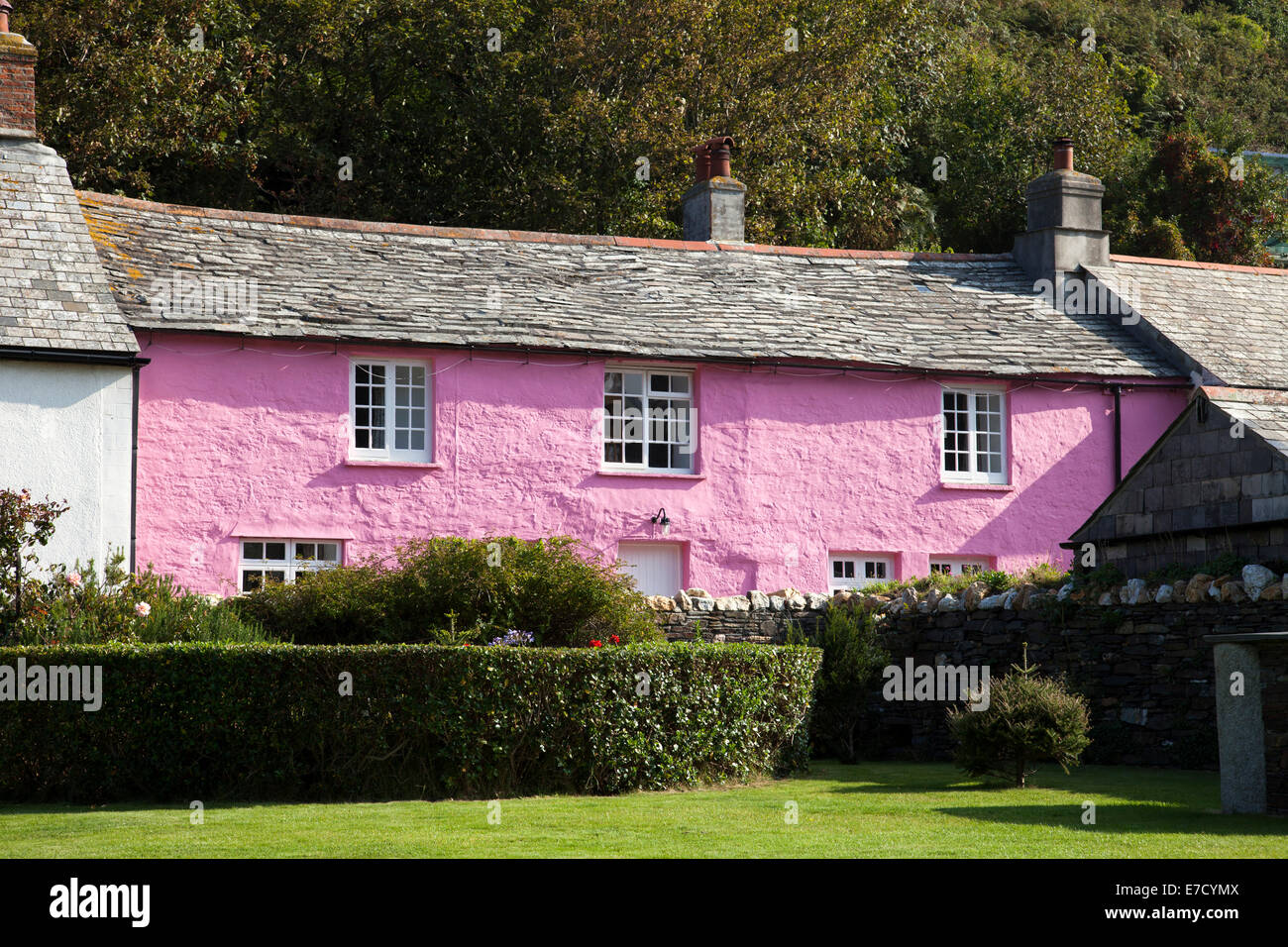 Un cottage dipinto di rosa in Boscastle, Cornwall, England, Regno Unito Foto Stock