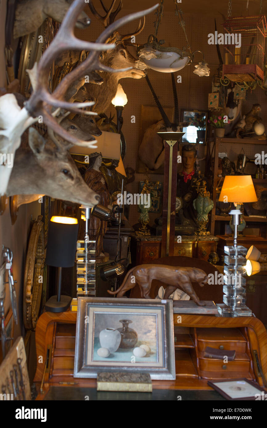 Tassidermia per la vendita, Paris incredibile mercatino di antiquariato, Marche aux Puces de Saint-Ouen, Parigi, Francia Foto Stock