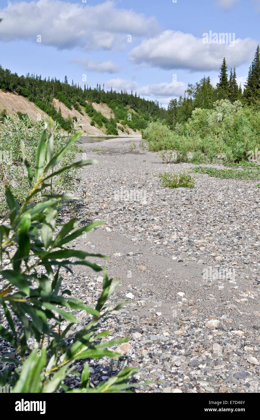 Paesaggio estivo a nord del fiume. Il fiume scorre Kokpela sul versante occidentale degli Urali polari. Foto Stock