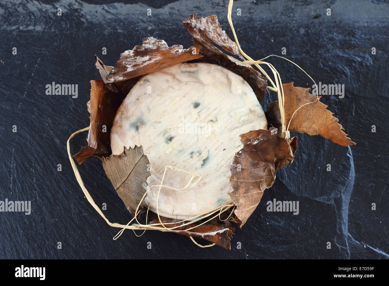 Formaggio di Banon avvolto con foglie di colore nero sulla lastra di pietra Foto Stock
