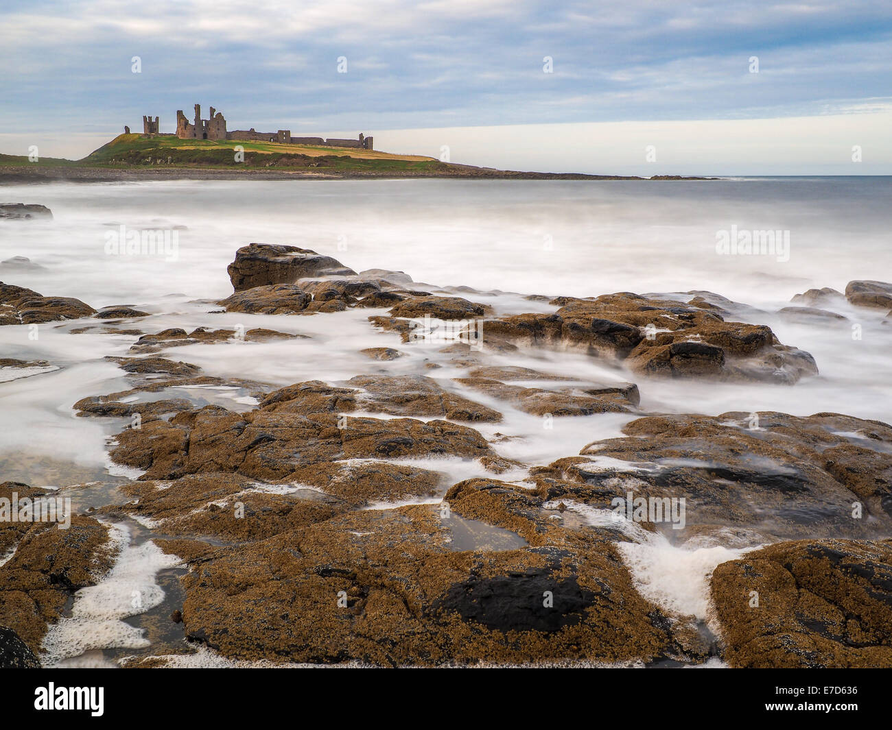 Incredibilmente aspra costa di Isola Santa in Northumberland è protetto da Lindisfarne Castle Foto Stock