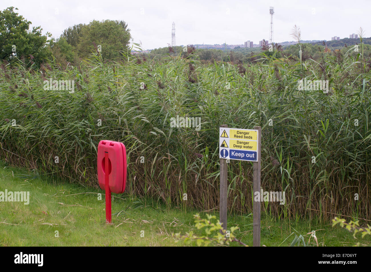 Canneti utilizzati per il trattamento delle acque reflue, Lamesley, Gateshead, Tyne and Wear, England, Regno Unito Foto Stock