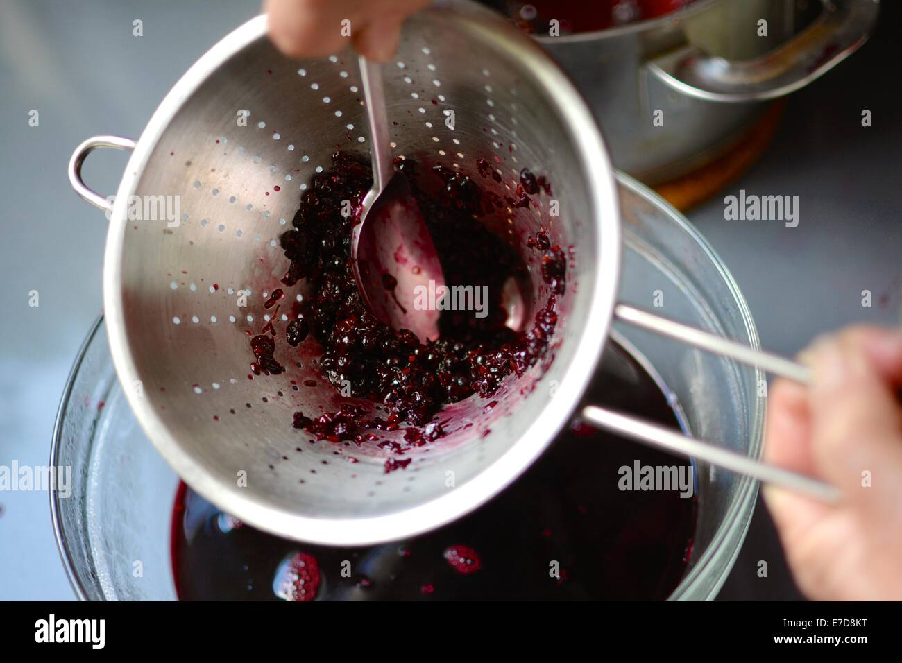 Sambuchi di spremitura attraverso un colino con un cucchiaio per rendere al succo di sambuco. Foto Stock