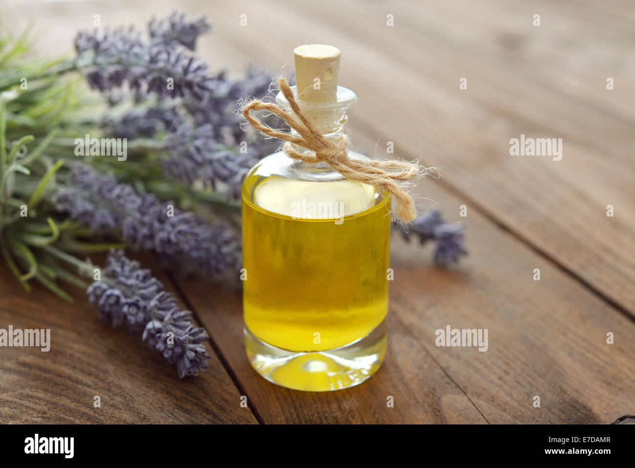 Essenziale di olio di lavanda con fiori freschi su sfondo di legno closeup Foto Stock