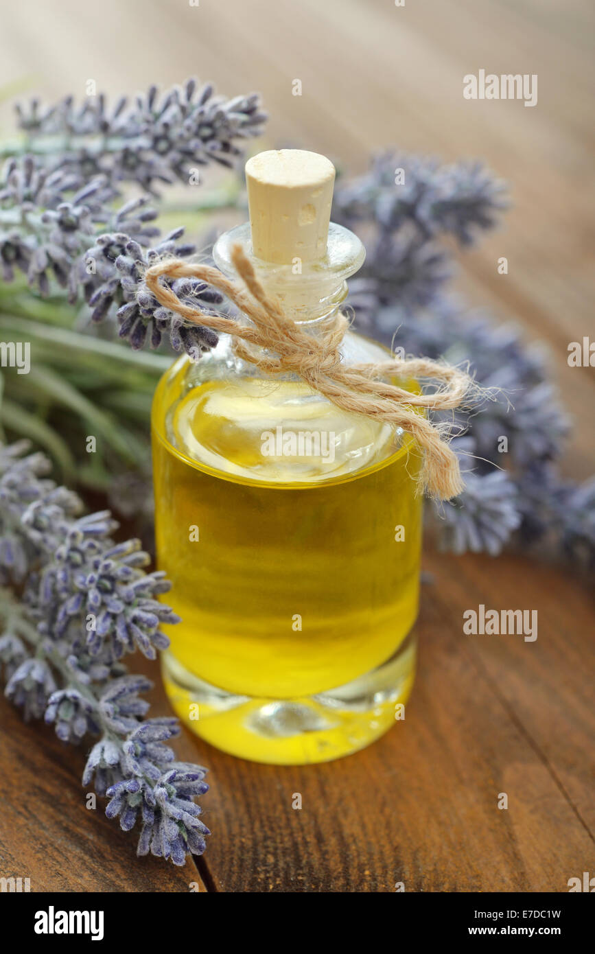 Essenziale di olio di lavanda con fiori freschi su sfondo di legno closeup Foto Stock