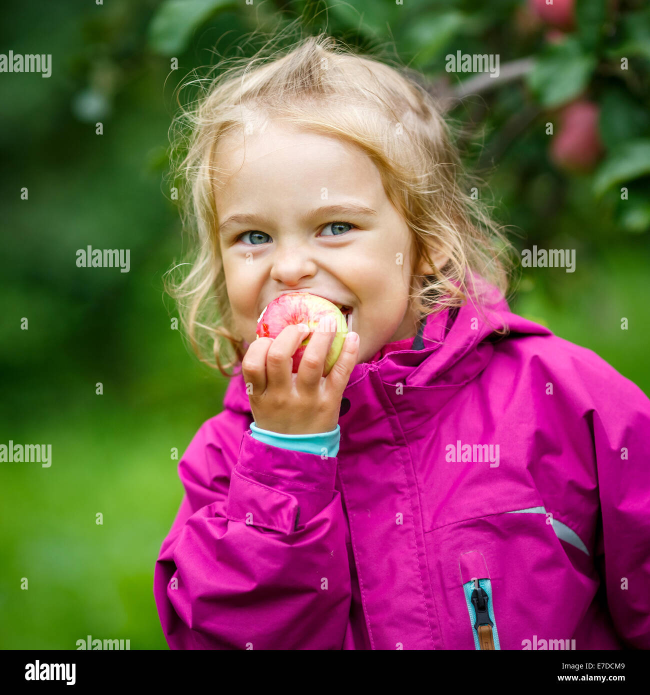 Bambina nel giardino di Apple Foto Stock