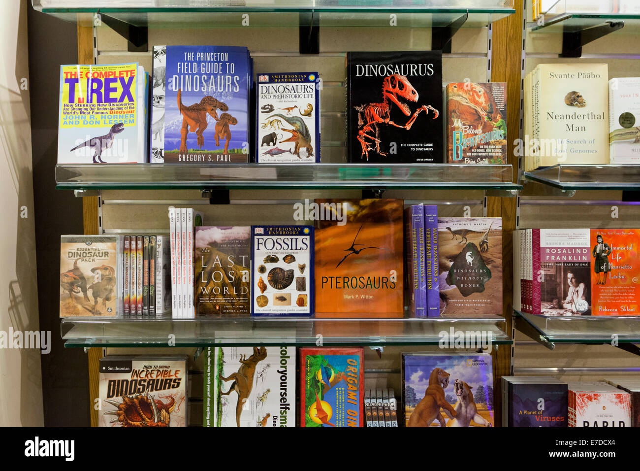 Libri di dinosauro al bookstore - USA Foto Stock