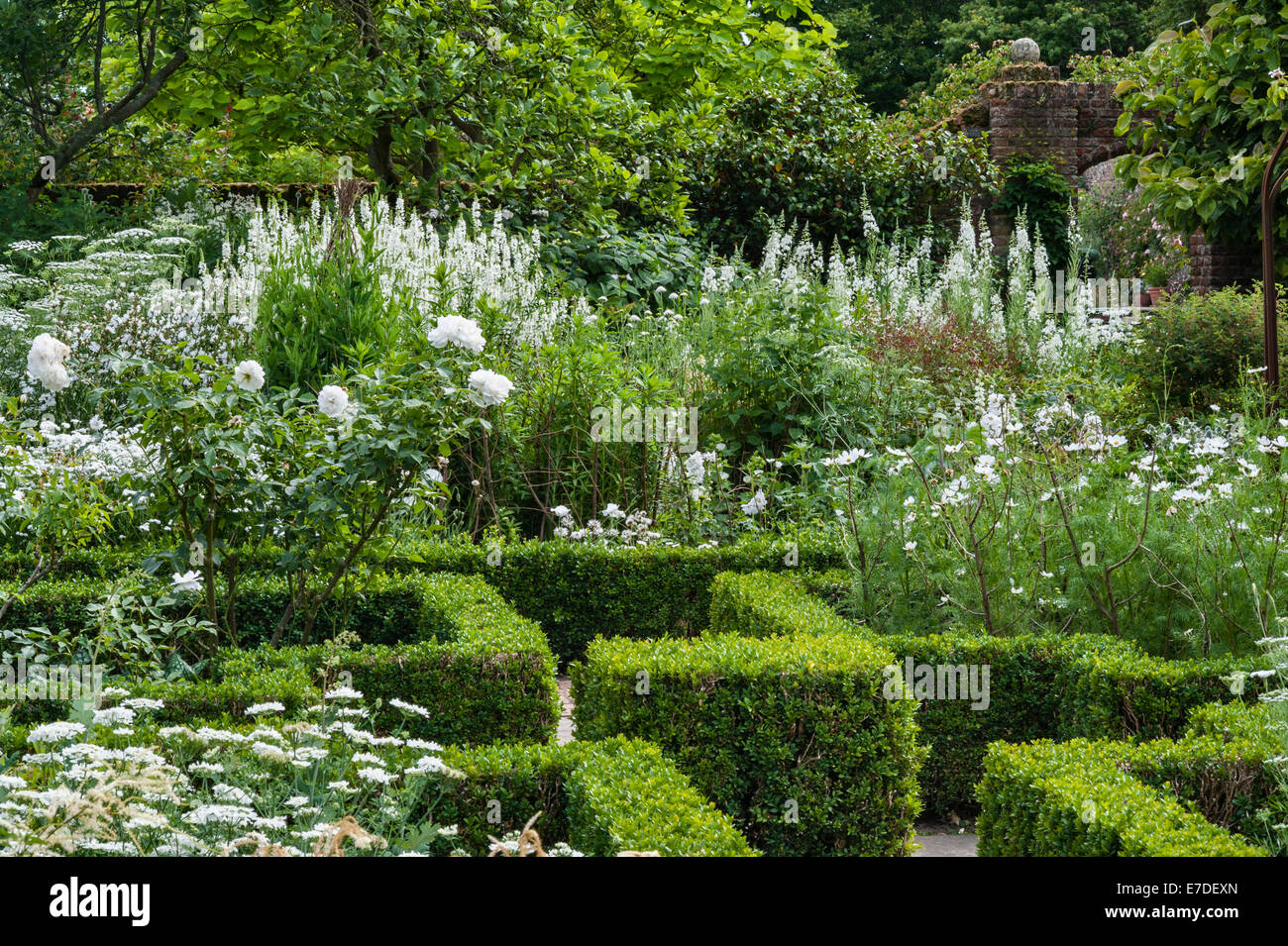 Castello di Sissinghurst, Kent, Regno Unito. Parterre nel giardino bianco in estate. Rose di iceberg e willowerb bianco (epilobium angustifolium) Foto Stock