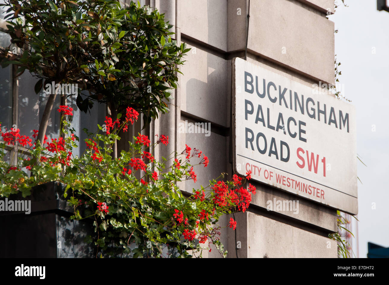 Buckingham Palace Road strada segno nella City of Westminster London REGNO UNITO Foto Stock