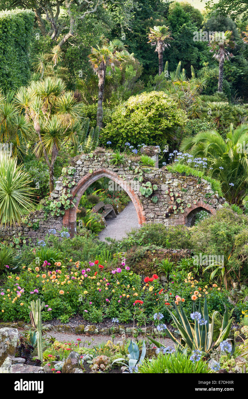 Tresco Abbey giardino, isole Scilly, UK. Il giardino ha iniziato tra le rovine del 12c abbey Foto Stock