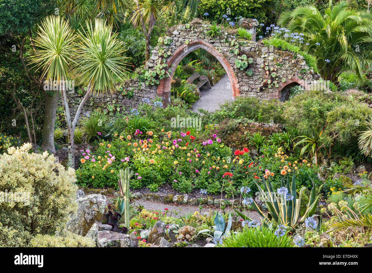 Tresco Abbey giardino, isole Scilly, UK. Il giardino ha iniziato tra le rovine del 12c abbey Foto Stock