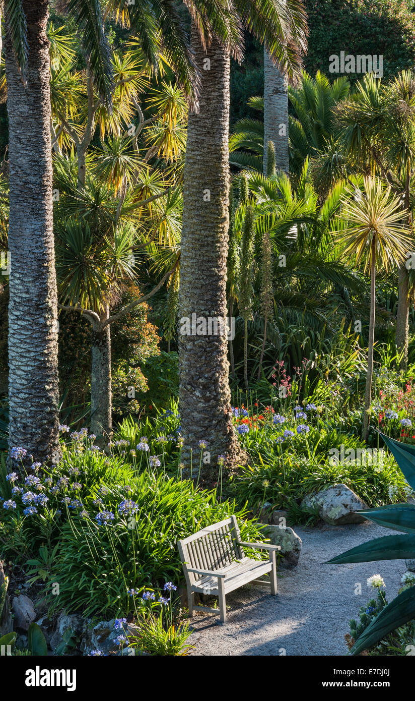 Tresco Abbey giardino, isole Scilly, UK. La terrazza centrale è il più riparate parte del giardino Foto Stock