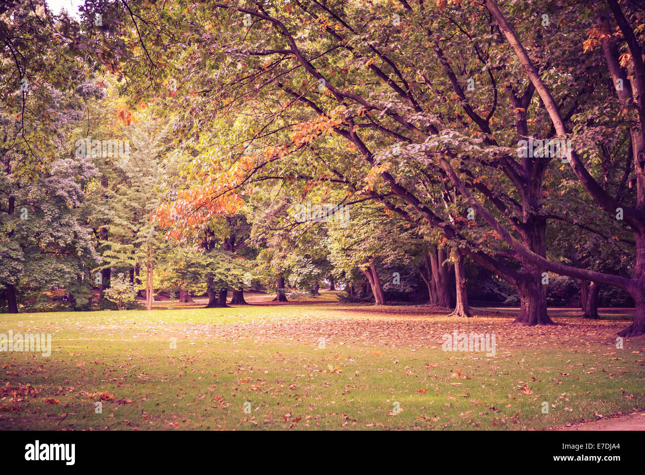 Il vecchio parco in autunno. Germania, Europa Foto Stock
