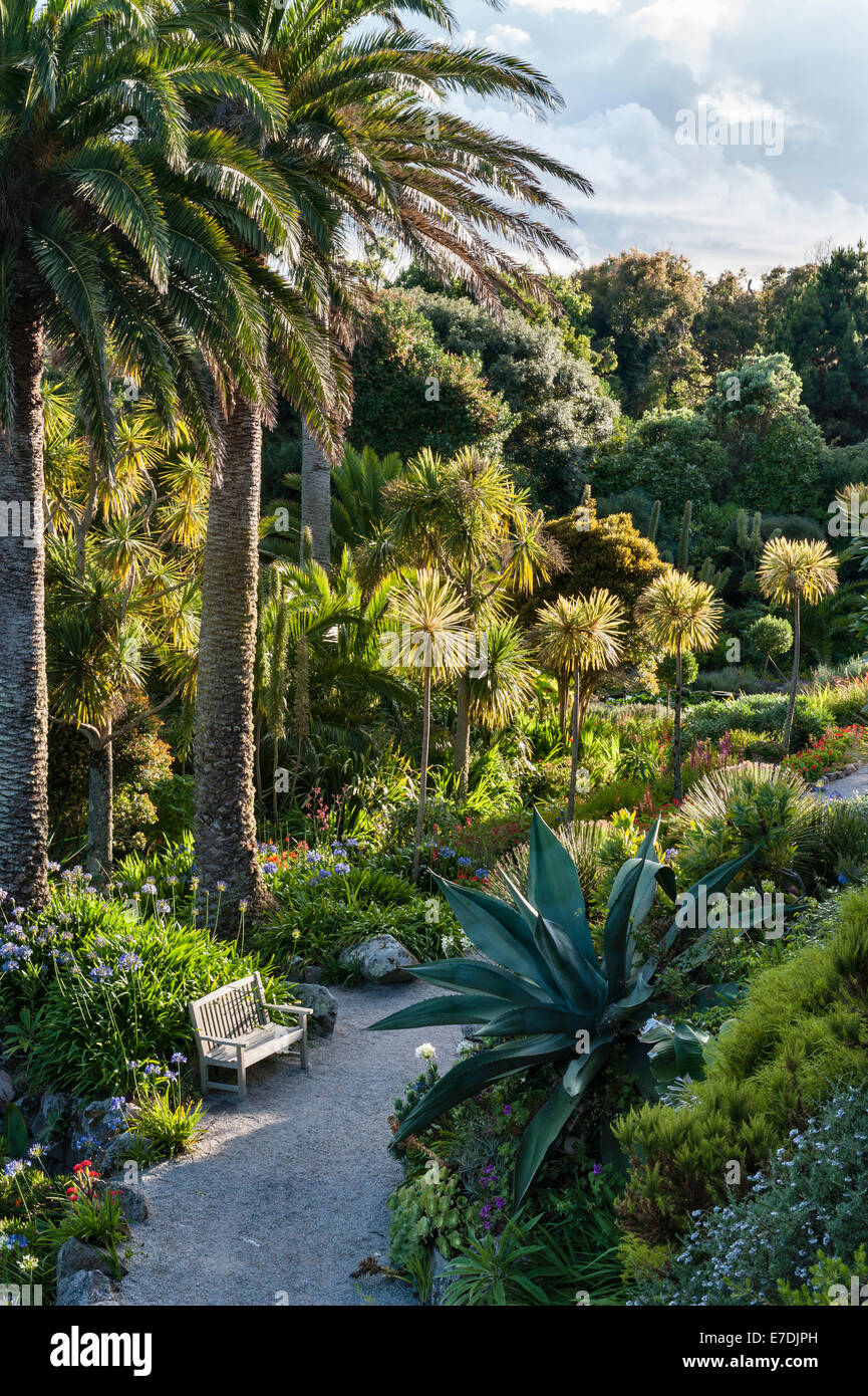 Tresco Abbey giardino, isole Scilly, UK. La terrazza centrale è il più riparate parte del giardino Foto Stock