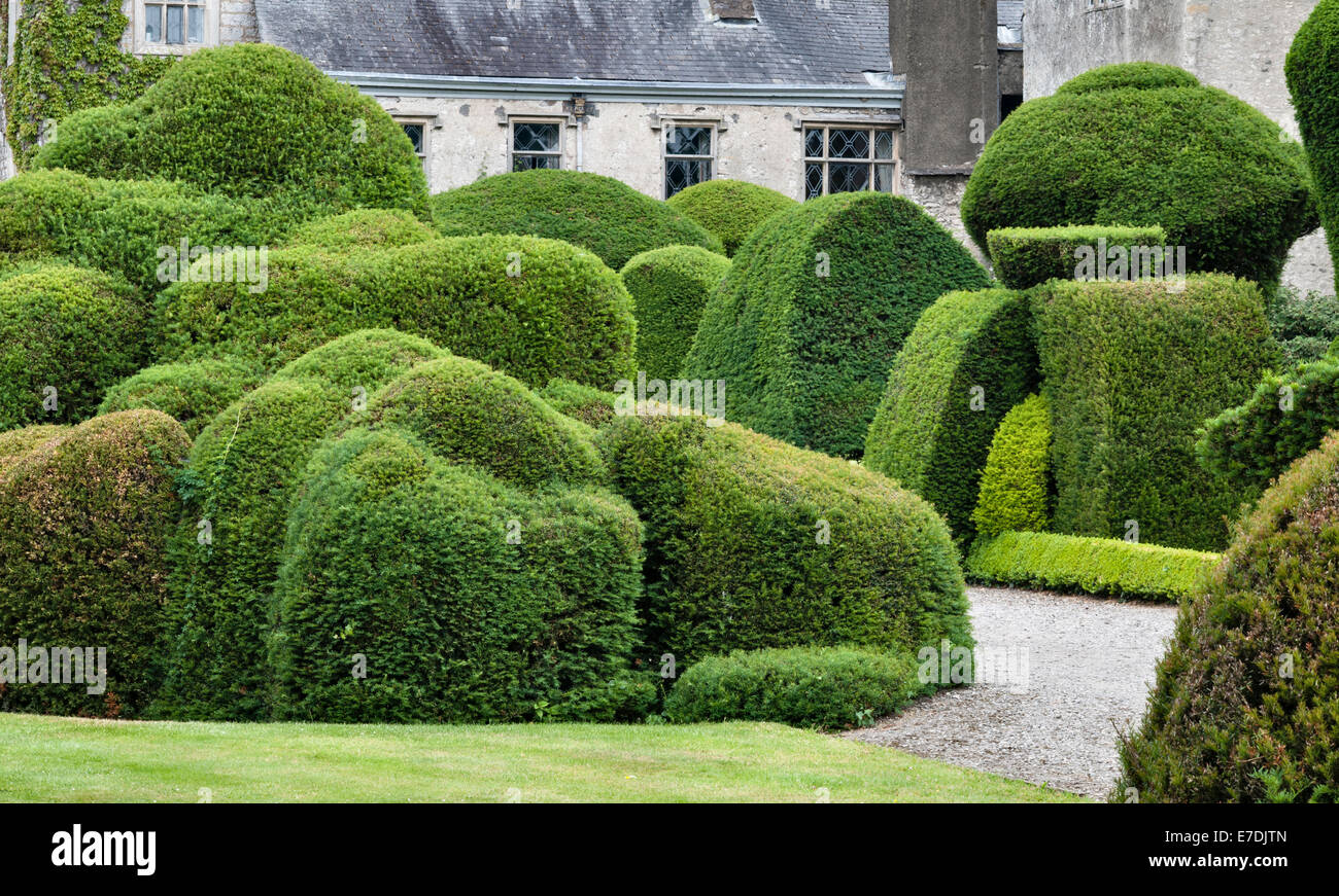 Levens Hall, Cumbria, Regno Unito. Un tardo 16c Manor House famosa per il suo eccentrico topiaria da giardino, di proprietà della famiglia Bagot Foto Stock