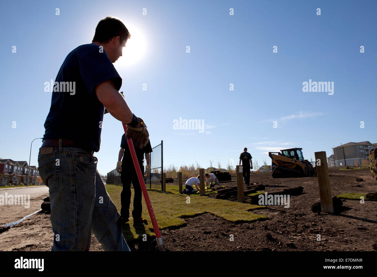 Paesaggio giardinieri turfing nuovo vicinato housing development, Fort McMurray, Alberta, Canada Foto Stock