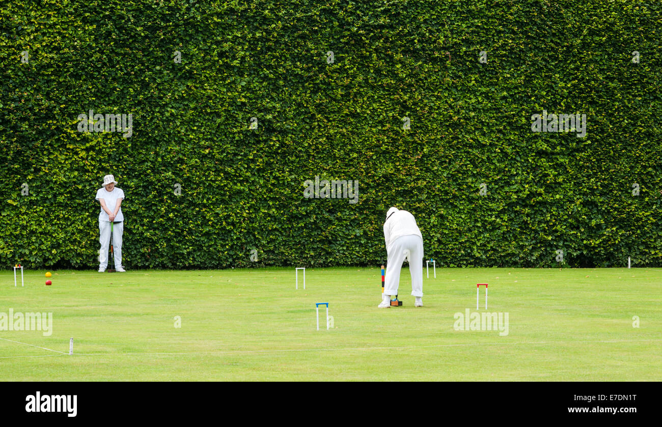 Due persone che giocano a croquet davanti all'enorme e antica siepe di faggio a Levens Hall, Cumbria, UK Foto Stock